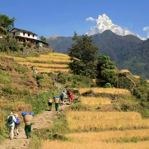 Naudanda
