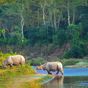 Chitwan